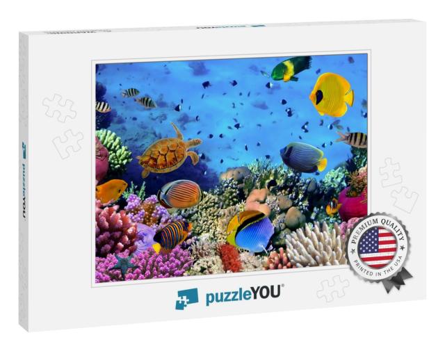 Photo of a Coral Colony, Red Sea, Egypt... Jigsaw Puzzle