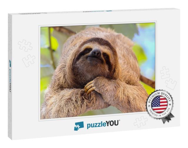 Happy Sloth... Jigsaw Puzzle