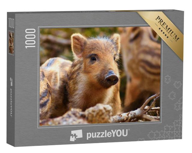 Puzzel 1000 stukjes „Pasgeborenen in het bos“