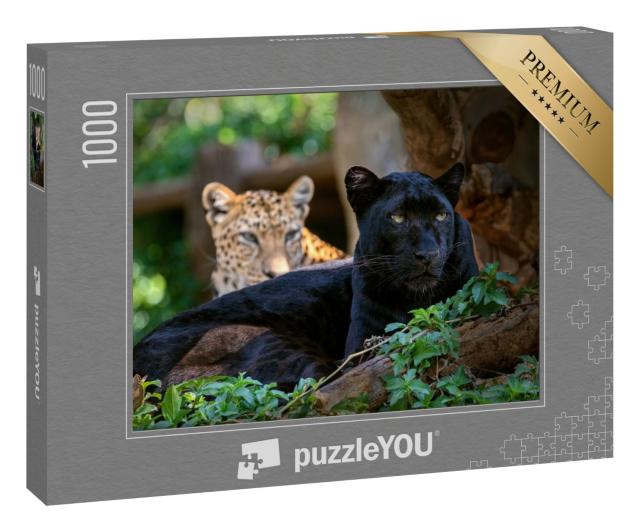 Puzzle 1000 Teile „Leopard oder Panther“