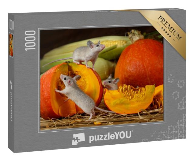 Puzzle 1000 Teile „Drei junge Mäuse erkunden geerntete Kürbisse“