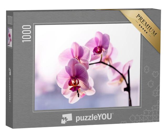 Puzzel 1000 stukjes „Prachtige delicate roze orchidee“