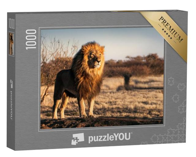 Puzzel 1000 stukjes „Enkele leeuw met een koninklijke uitstraling“