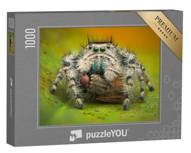 Puzzel 1000 stukjes „Macrofotografie: springspin eet een huisvlieg“