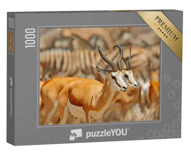 Puzzel 1000 stukjes „Een groep dieren bij een waterpoel, Namibië“