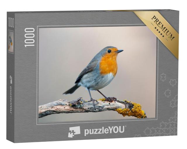 Puzzel 1000 stukjes „Nieuwsgierig roodborstje“