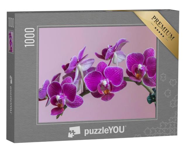 Puzzel 1000 stukjes „Mottenorchis als prachtige paarse orchidee“