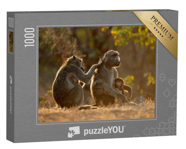 Puzzel 1000 stukjes „Familieleven met de Chacma bavianen, Kruger National Park, Zuid-Afrika“