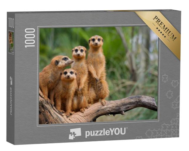 Puzzel 1000 stukjes „Stokstaart familie“