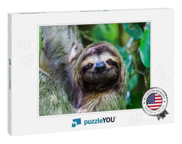 Sloth, Manuel Antonio National Park, Costa Rica, Central... Jigsaw Puzzle