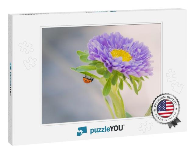 A Closeup Shot of a Ladybug on the Purple Aster... Jigsaw Puzzle