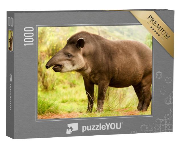 Puzzel 1000 stukjes „Zuid-Amerikaanse tapir in het bos“