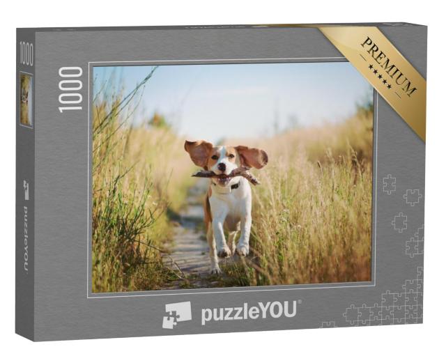 Puzzel 1000 stukjes „Een beagle met een stok“