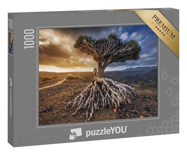 Puzzle 100 Teile „Drachenbäume auf dem Dixam-Plateau, Insel Socotra, Jemen“