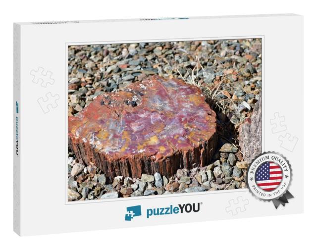 Petrified Wood Can be Found Scattered Across the Petrifie... Jigsaw Puzzle