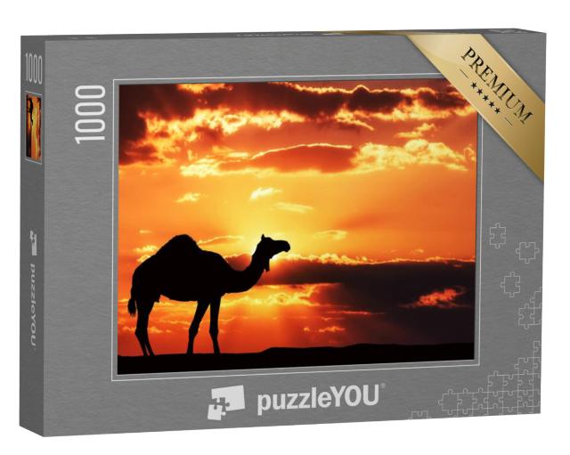 Puzzel 1000 stukjes „Silhouet van een kameel in Afrika“