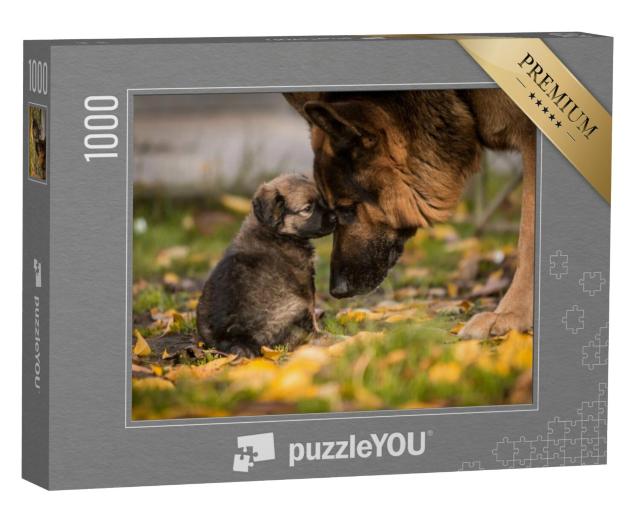 Puzzel 1000 stukjes „Liefde tussen puppy en volwassen Duitse Herdershond“