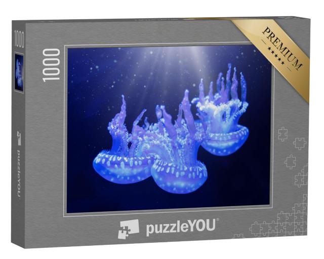 Puzzel 1000 stukjes „De gevlekte lagunekwal“