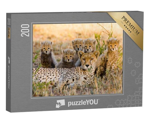 Puzzel 200 stukjes „Cheetah moeder en haar welpen op de savanne, Kenia“