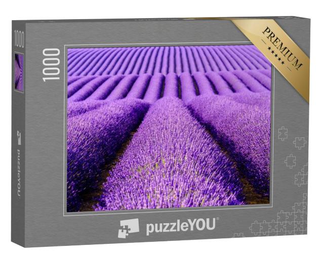 Puzzel 1000 stukjes „Lavendelbloemen op het plateau van Valensole, Provence, Frankrijk“