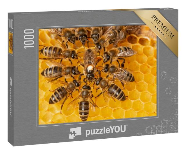 Puzzle „Bienenkönigin umgeben von Arbeiterinnen“