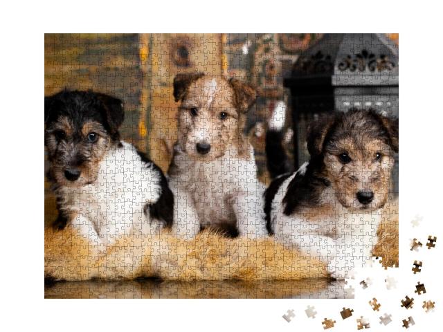 Puzzle 1000 Teile „Süße Foxterrier-Welpen“