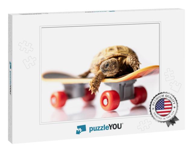 Baby Tortoise Turtle on a Skateboard on a White Backgroun... Jigsaw Puzzle