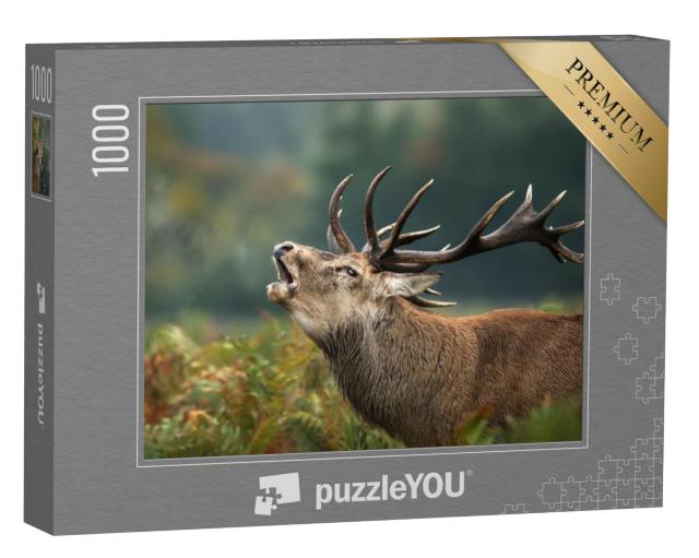 Puzzel 1000 stukjes „Close-up van een brullend edelhert“