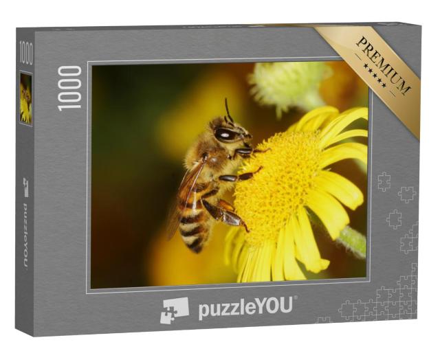 Puzzel 1000 stukjes „Een honingbij“