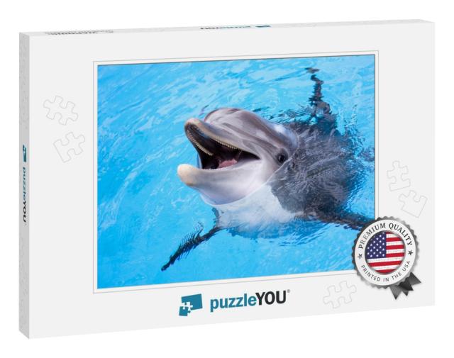 Dolphin... Jigsaw Puzzle
