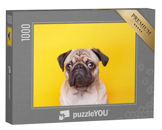 Puzzel 1000 stukjes „Mopshond met zilveren ogen en een schattig gezicht“