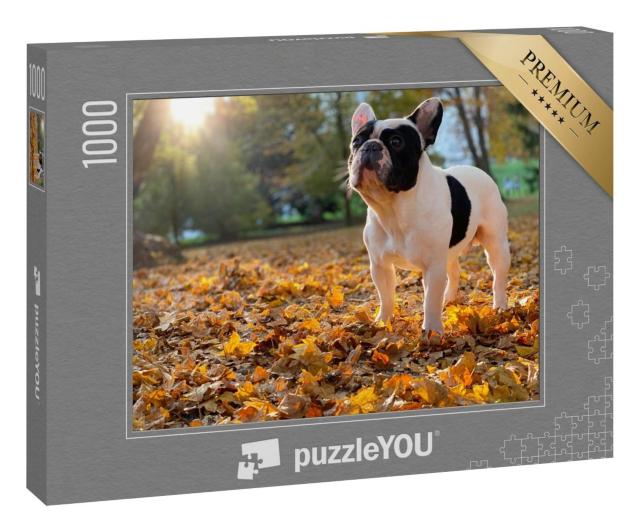 Puzzle 1000 Teile „Nette schwarz-weiße französische Bulldogge sitzt“
