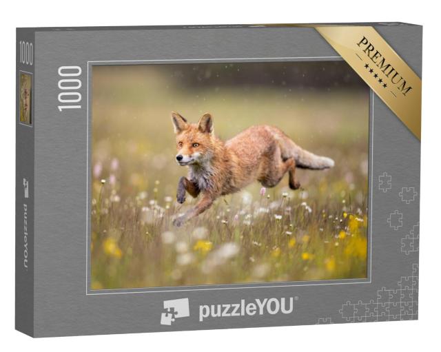 Puzzel 1000 stukjes „Een vos galoppeert door een bloemenweide“