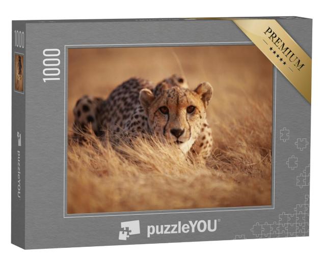 Puzzel 1000 stukjes „Jachtluipaard, klaar om te bespringen“