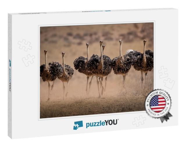 Ostrich Hens Are Kicking Up Dust as They Try to Escape th... Jigsaw Puzzle