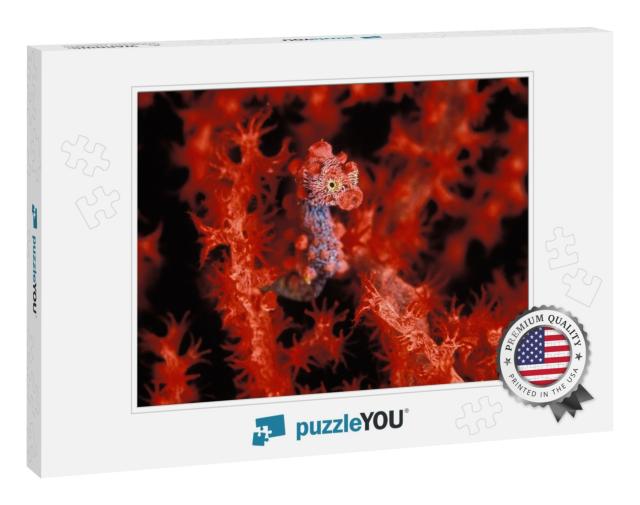 A Bright Red Pygmy Sea Horse Hiding... Jigsaw Puzzle