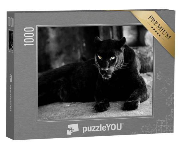 Puzzel 1000 stukjes „Prachtige zwarte panter“