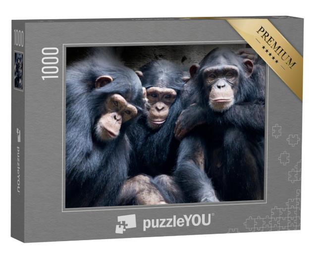 Puzzel 1000 stukjes „Bonobo's en chimpansees in Afrika“