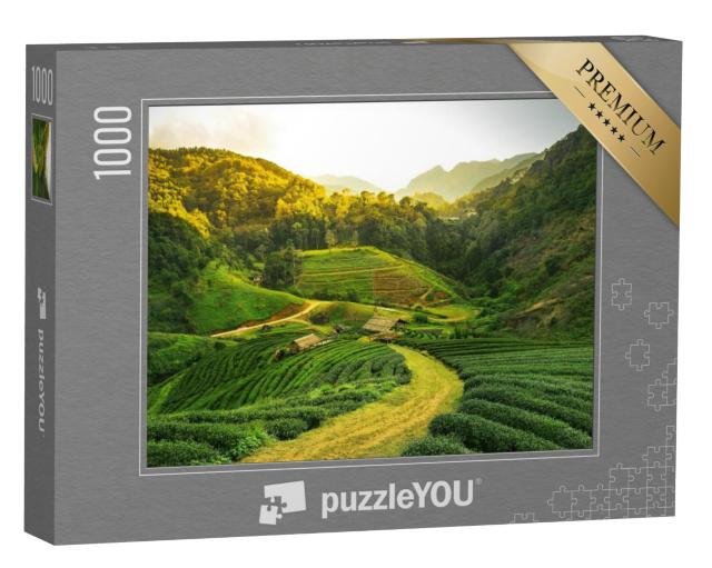 Puzzel 1000 stukjes „Uitzicht op een theeplantage bij zonsopgang“