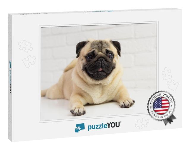 Funny Pug Dog Lies on the Background of a White Brick Wal... Jigsaw Puzzle