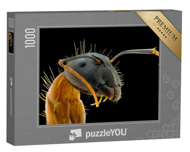 Puzzel 1000 stukjes „Een close-up van het gezicht van een mier“