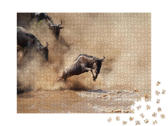 Puzzle 1000 Teile „Wilde Gnus beim Durchqueren eines Flusses“