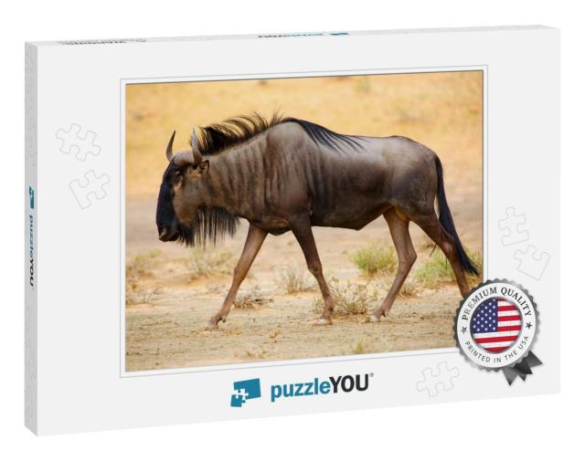 The Blue Wildebeest Connochaetes Taurinus is Walking in t... Jigsaw Puzzle