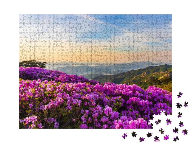 Puzzle 1000 Teile „Rosa Azaleenblüten auf dem Berg Hwangmaesan, Korea“