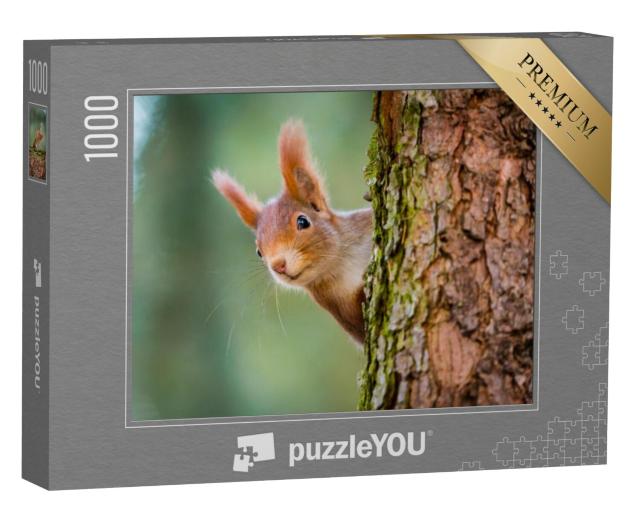 Puzzel 1000 stukjes „Nieuwsgierige rode eekhoorn gluurt achter de boomstam vandaan“