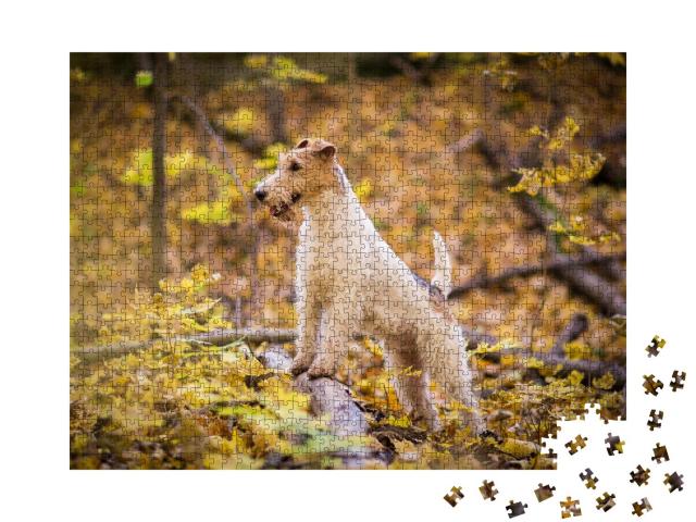 Puzzle 1000 Teile „Drahthaar-Foxterrier Herbst“