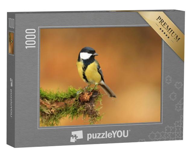 Puzzel 1000 stukjes „Kleine koolmees op een met mos bedekte tak“