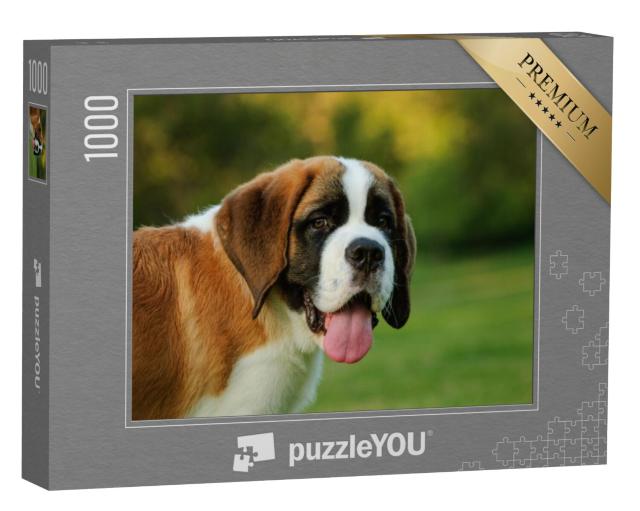 Puzzel 1000 stukjes „Portret van een sint-bernard puppy in het park“