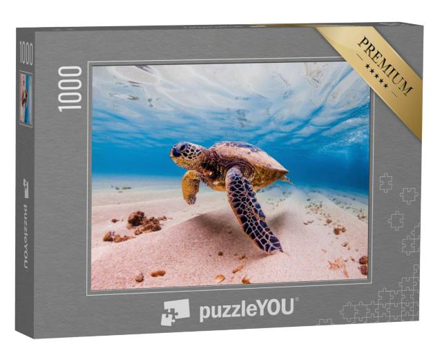 Puzzel 1000 stukjes „Groene zeeschildpad, Hawaii, zeldzaam dier“