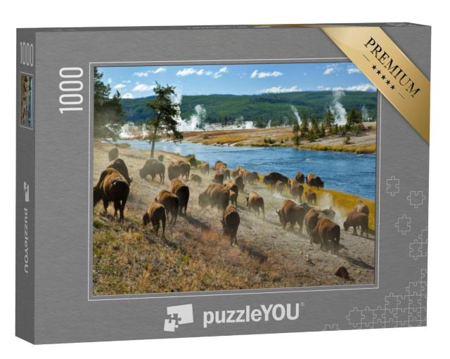 Puzzel 1000 stukjes „Een kudde bizons op de Firehole-rivier in Yellowstone National Park“